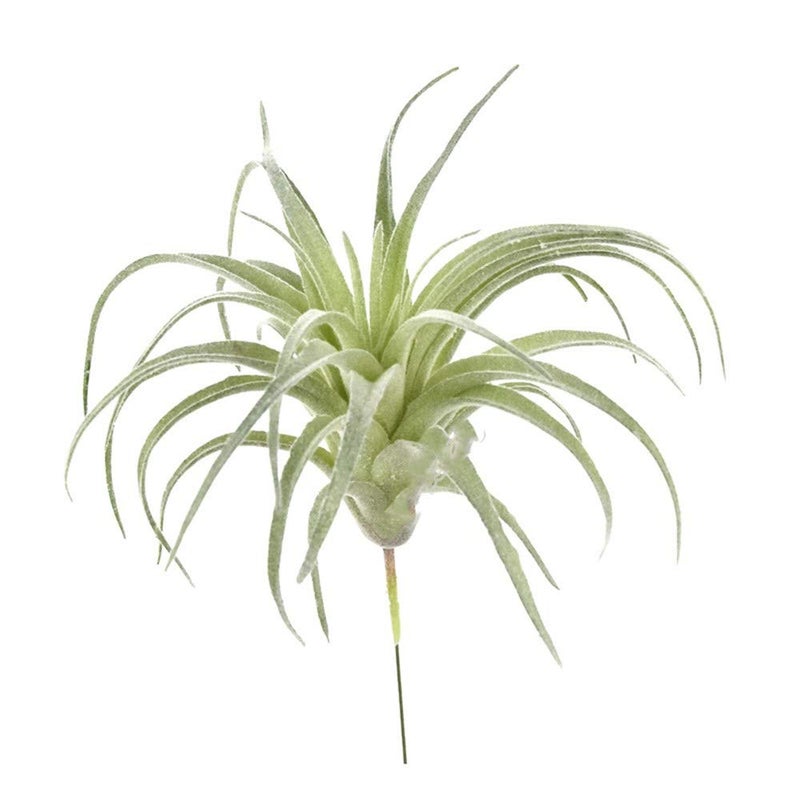EBUYOM 2 PCS Artificial Succulents Plants Unpotted Fake Flocking Tillandsia Air Plants Succulent Bromeliads Bouquet Arrangements Faux Plants DIY for Garden Terrarium Decor Home Decoration Green - Image 3